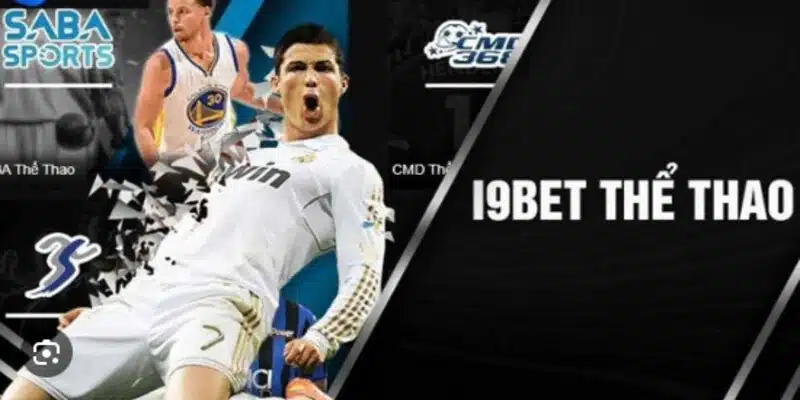 Giới thiệu 1 số sảnh thể thao có mặt tại nhà cái I9Bet